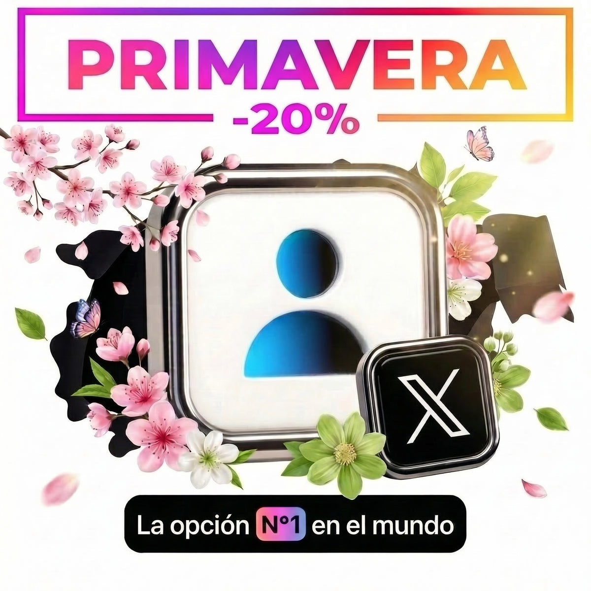 X / Seguidores de Twitter.